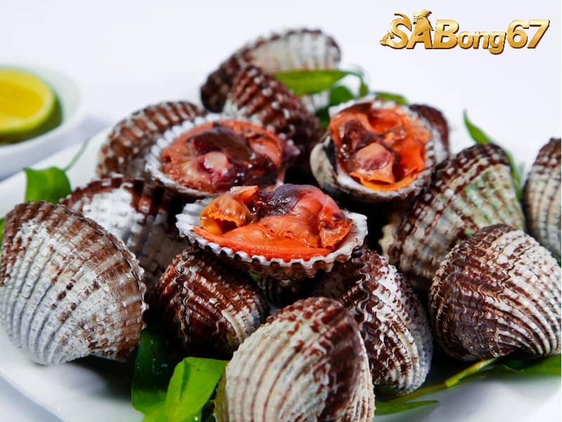 Cách Vô Mồi Cho Gà Mau Sung, Mau Tới Pin Đúng Cách Sò huyết có thể giúp gà đá trở nên sung mãn