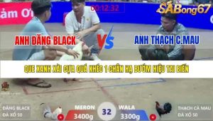 Trận 32 Bồ Xà Xía 1/1/2026