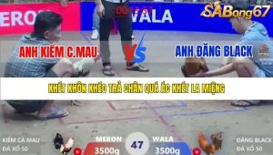 Trận 47 Bồ Xà Xía 1/1/2026