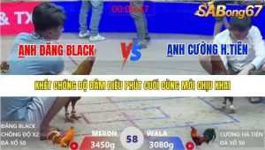 Trận 58 Bồ Xà Xía 1/1/2026