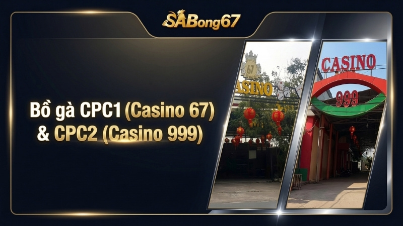 SABONG67 Bồ gà CPC1 (Casino 67) & CPC2 (Casino 999)